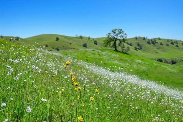 19623 Rd 211, Friant, CA 93626 - view of yard with a mountain view and a rural view