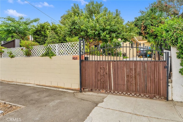 1153 Isabel St, Los Angeles, CA 90065 - view of gate