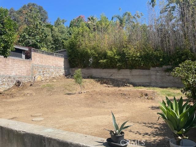 1153 Isabel St, Los Angeles, CA 90065 - view of yard