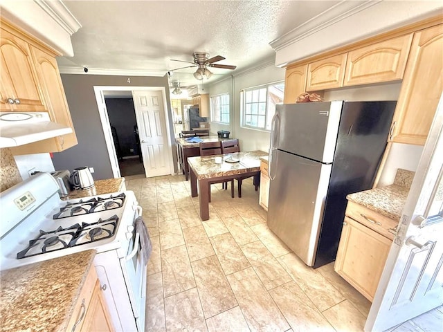 732 James Pl, Pomona, CA 91767 - photo 10