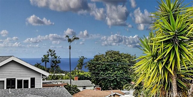 1194 Agate St, San Diego, CA 92109 - photo 18
