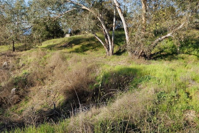 0 Mcnally Rd, Valley Center, CA 92082 - photo 8