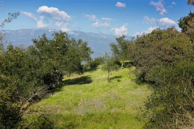 0 Mcnally Rd, Valley Center, CA 92082 - photo 7