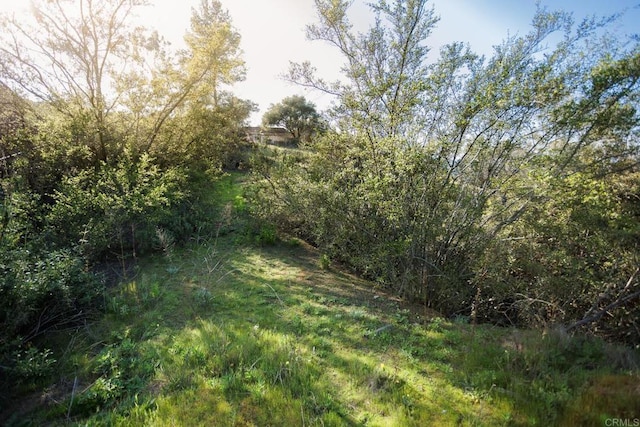 0 Mcnally Rd, Valley Center, CA 92082 - photo 3