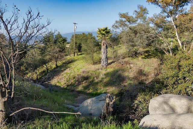 0 Mcnally Rd, Valley Center, CA 92082 - photo 4