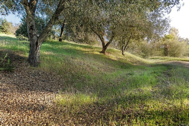 0 Mcnally Rd, Valley Center, CA 92082 - photo 10