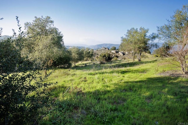 0 Mcnally Rd, Valley Center, CA 92082 - photo 15