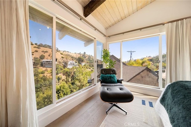 2522 Zorada Dr, Los Angeles, CA 90046 - photo 26