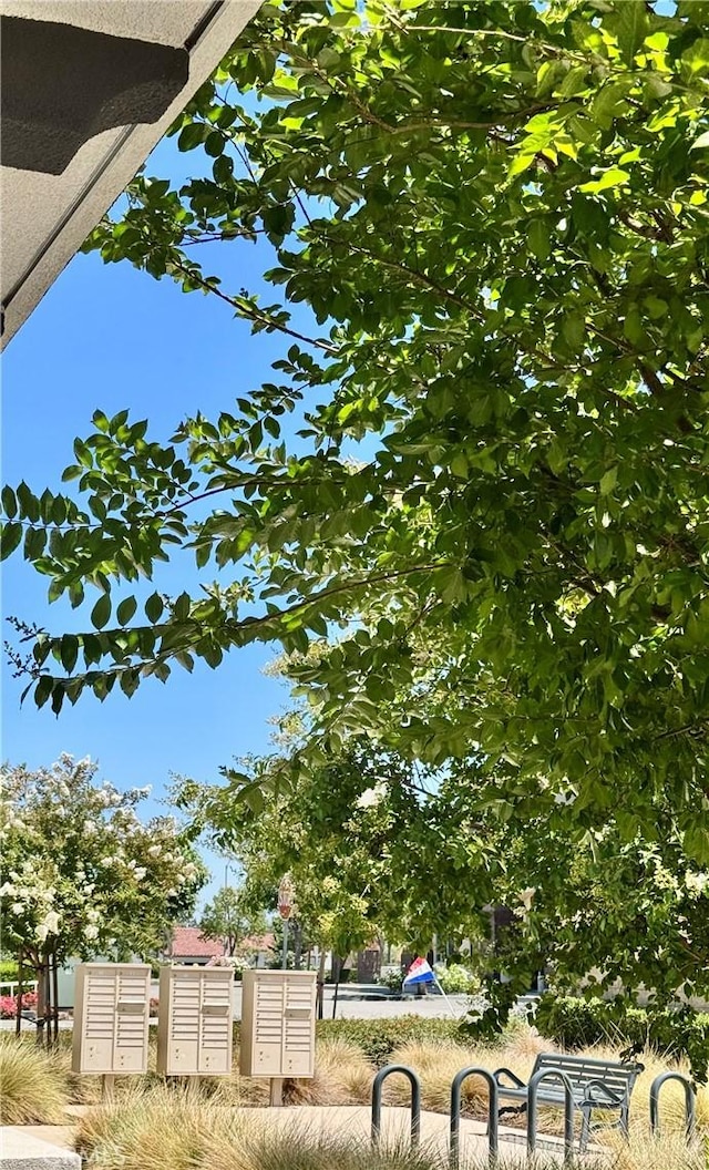 15946 Ellington, Chino Hills, CA 91709 - view of yard featuring mail area