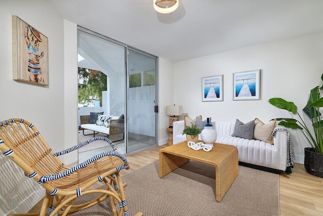 159 Mozart Ave, Cardiff By The Sea, CA 92007 - living room with light wood-type flooring