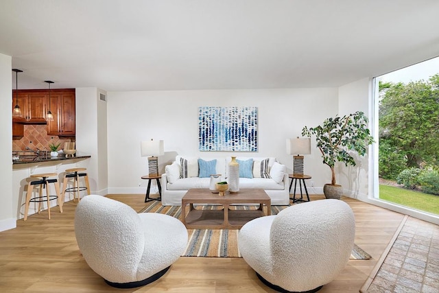 159 Mozart Ave, Cardiff By The Sea, CA 92007 - living area with light wood-type flooring