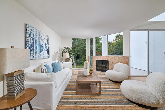 159 Mozart Ave, Cardiff By The Sea, CA 92007 - living room featuring a glass covered fireplace, wood finished floors, and floor to ceiling windows