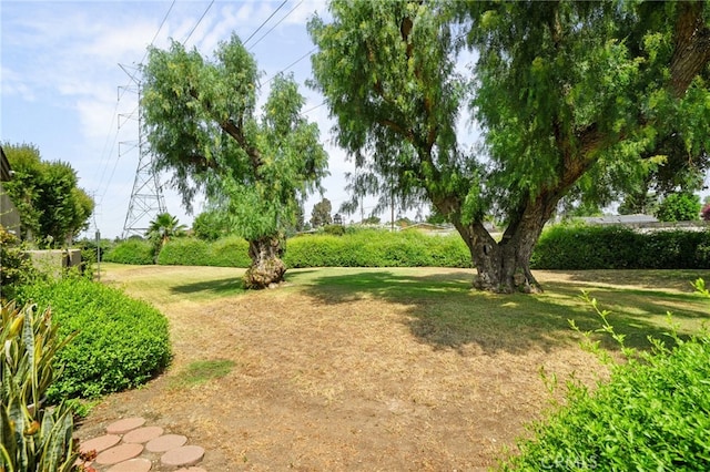 339 W Dawson Ct, Glendora, CA 91740 - view of grassy yard