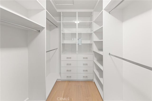 6 Baristo Unit 39, Irvine, CA 92612 - walk in closet featuring light wood-style flooring