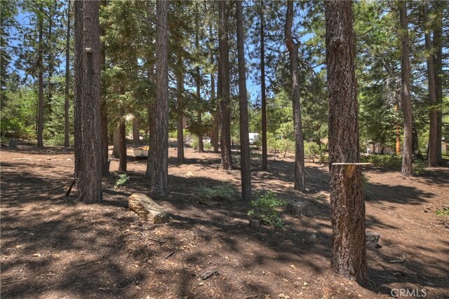 813 Eureka Dr, Big Bear Lake, CA 92315 - photo 21