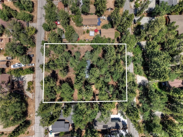 813 Eureka Dr, Big Bear Lake, CA 92315 - photo 2