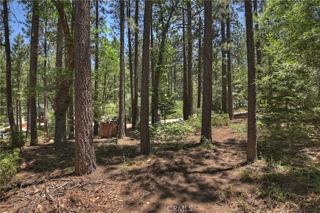 813 Eureka Dr, Big Bear Lake, CA 92315 - photo 24