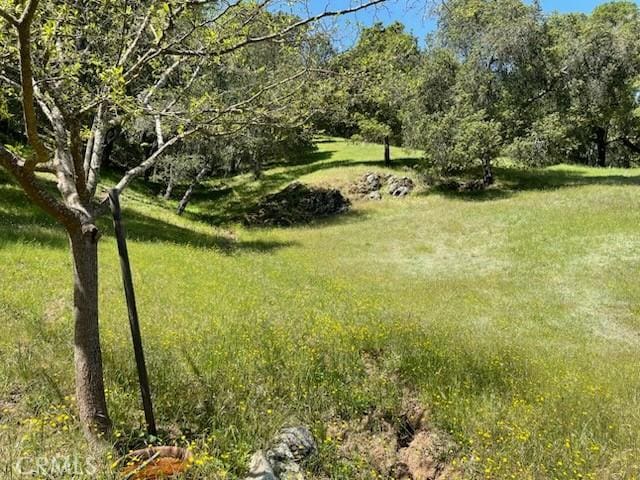 13205 Santa Lucia Rd, Atascadero, CA 93422 - view of green lawn