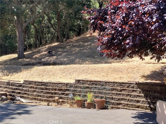 13205 Santa Lucia Rd, Atascadero, CA 93422 - view of yard