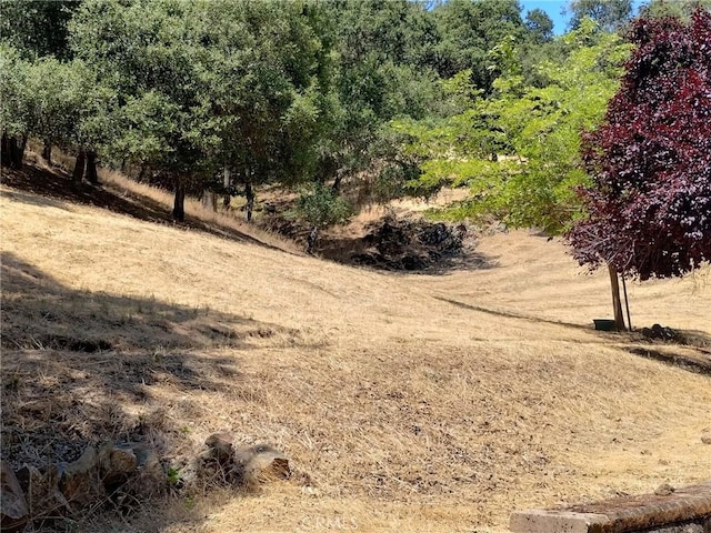 13205 Santa Lucia Rd, Atascadero, CA 93422 - view of nature
