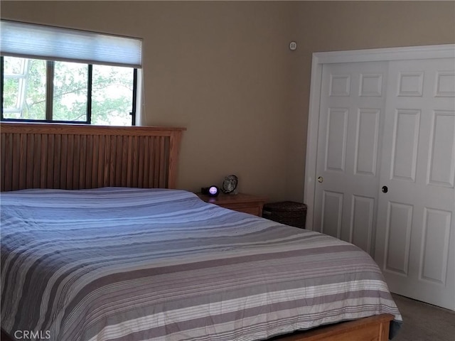 13205 Santa Lucia Rd, Atascadero, CA 93422 - bedroom with carpet and a closet