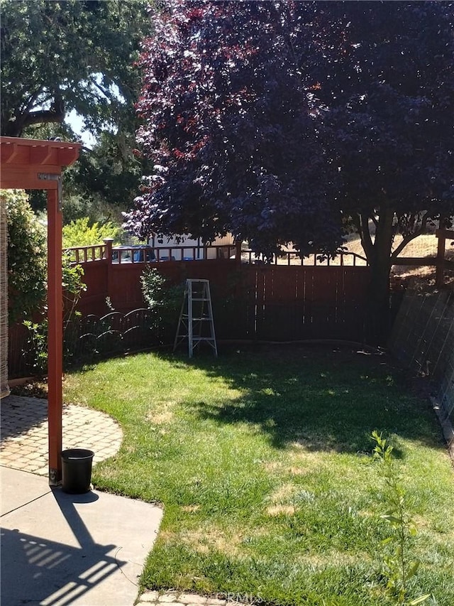 13205 Santa Lucia Rd, Atascadero, CA 93422 - fenced backyard with a patio