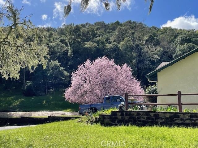 13205 Santa Lucia Rd, Atascadero, CA 93422 - view of yard with a wooded view