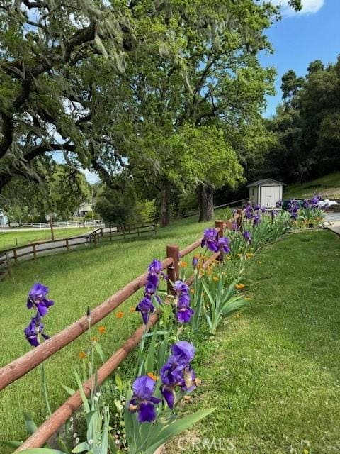 13205 Santa Lucia Rd, Atascadero, CA 93422 - view of yard featuring a storage shed and view of wooded area