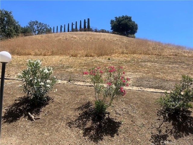 5800 Kanan Rd Unit 167, Agoura Hills, CA 91301 - view of yard