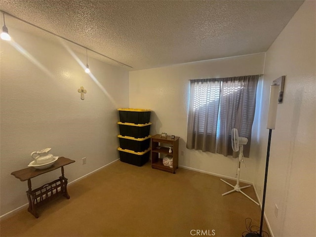 14194 Old Field Ave, Fontana, CA 92337 - miscellaneous room with a textured ceiling and carpet floors