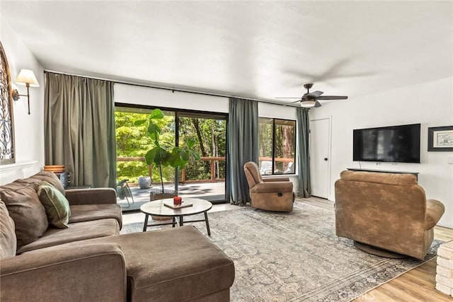 4934 Tippitoe Ln, Forest Ranch, CA 95942 - living area with wood finished floors, plenty of natural light, and ceiling fan