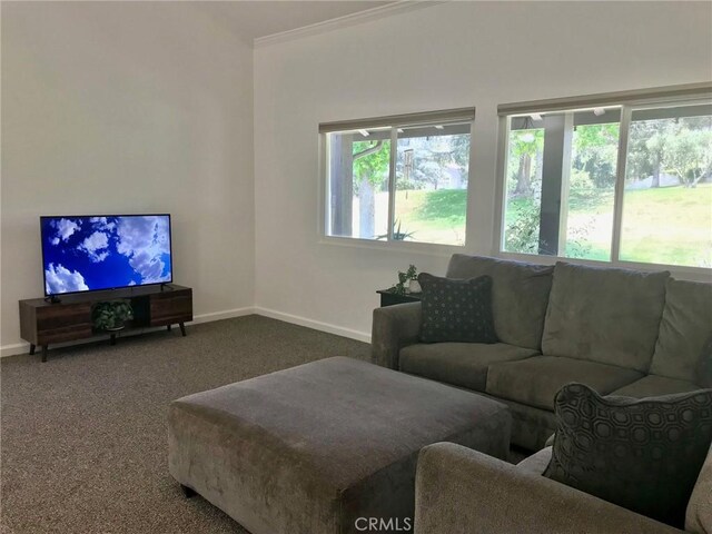 36162 Senna Cir, Yucaipa, CA 92399 - photo 10
