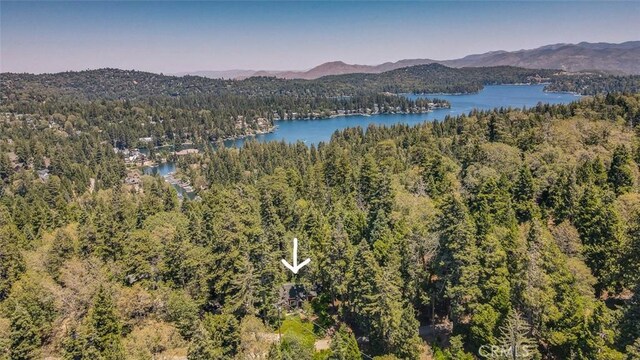 433 Milburn Rd, Lake Arrowhead, CA 92352 - bird's eye view of a water and mountain view