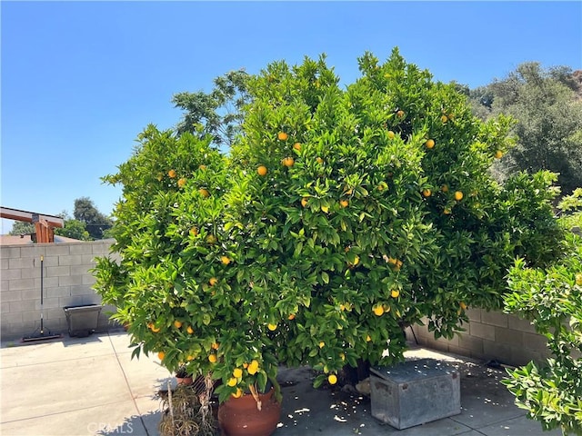 30512 Arlington St, Castaic, CA 91384 - photo 16
