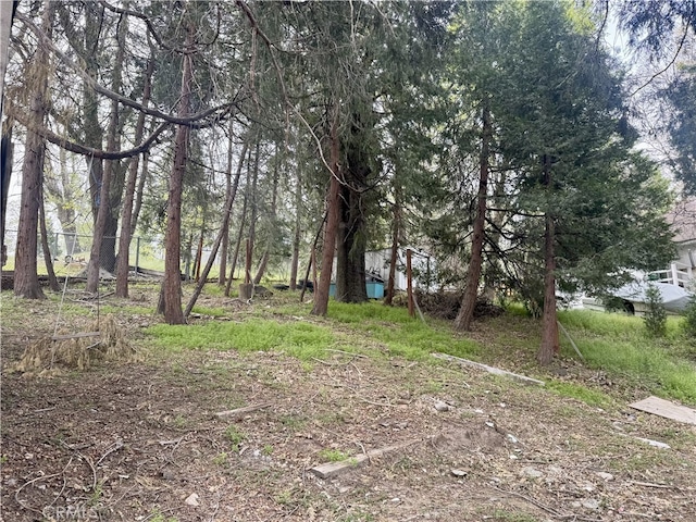 197 Western Dr, Cedar Glen, CA 92321 - photo 13