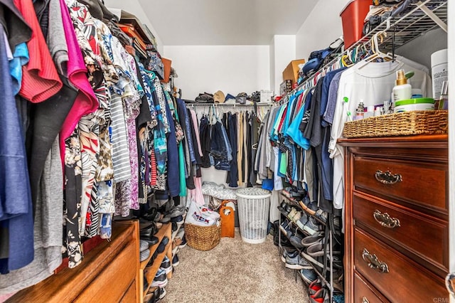 11337 Vista Elevada, San Diego, CA 92131 - spacious closet with carpet flooring