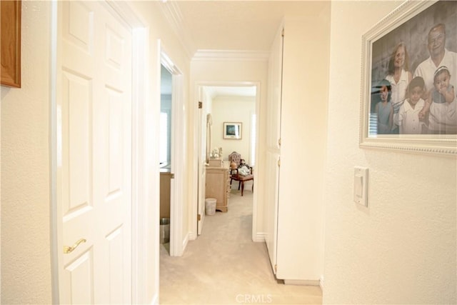 2509 Euclid E, Upland, CA 91784 - corridor with light colored carpet and crown molding