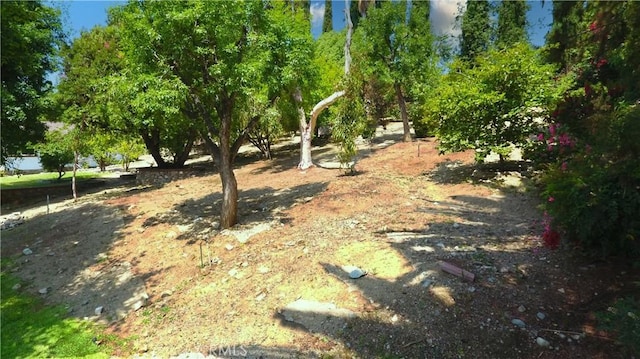 2509 Euclid E, Upland, CA 91784 - view of yard