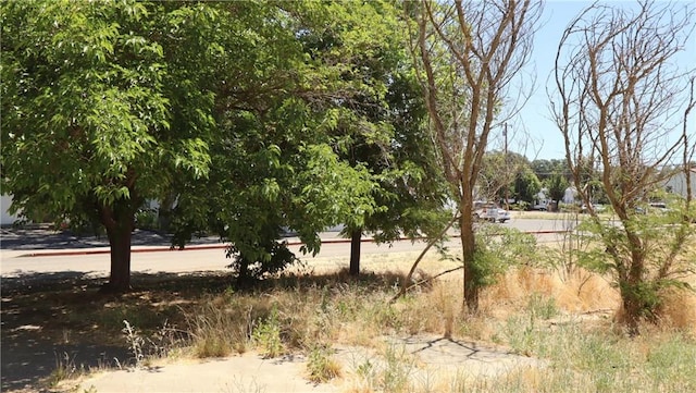 3460 Emerson St, Clearlake, CA 95422 - photo 3