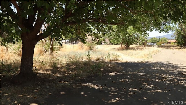 3460 Emerson St, Clearlake, CA 95422 - photo 6