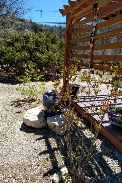 1415 Manzanita Way, Lake Arrowhead, CA 92352 - view of yard