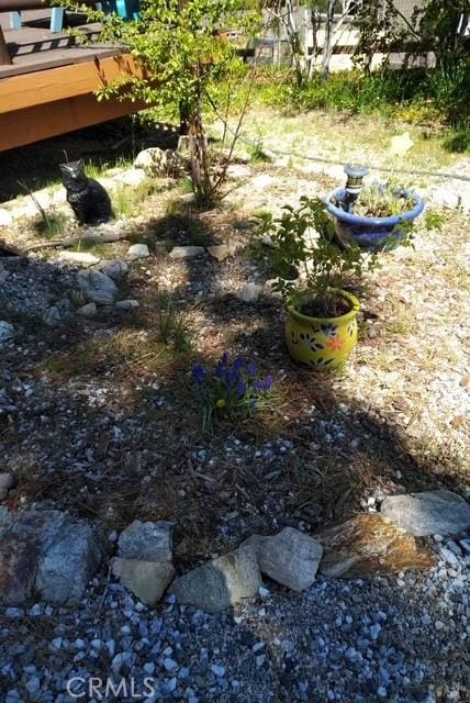 1415 Manzanita Way, Lake Arrowhead, CA 92352 - view of yard