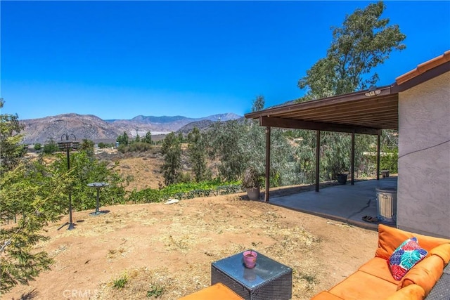 32272 Florida Ave, Mentone, CA 92359 - photo 33