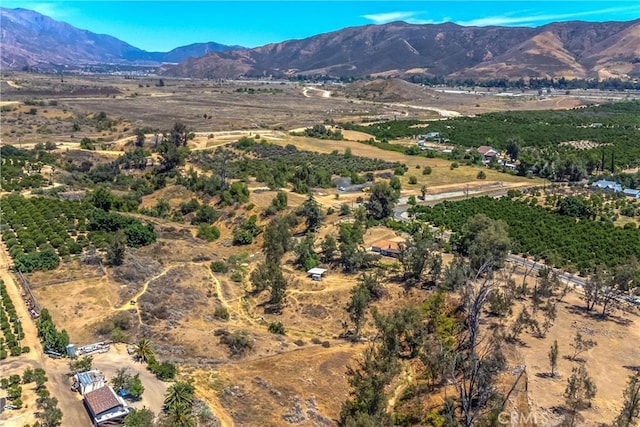 32272 Florida Ave, Mentone, CA 92359 - photo 45