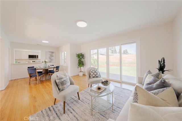 14314 De Alcala Dr, La Mirada, CA 90638 - living room featuring light wood finished floors