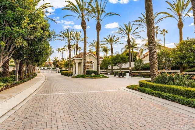 54 Corniche Dr Unit B, Dana Point, CA 92629 - photo 49