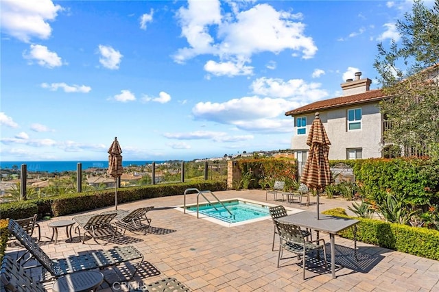 54 Corniche Dr Unit B, Dana Point, CA 92629 - photo 42