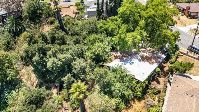 774 Muscatel Ave, Rosemead, CA 91770 - photo 27