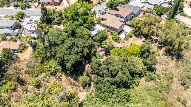 774 Muscatel Ave, Rosemead, CA 91770 - photo 30