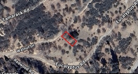 0 Walnut Dr, Cedar Glen, CA 92321 - photo 1
